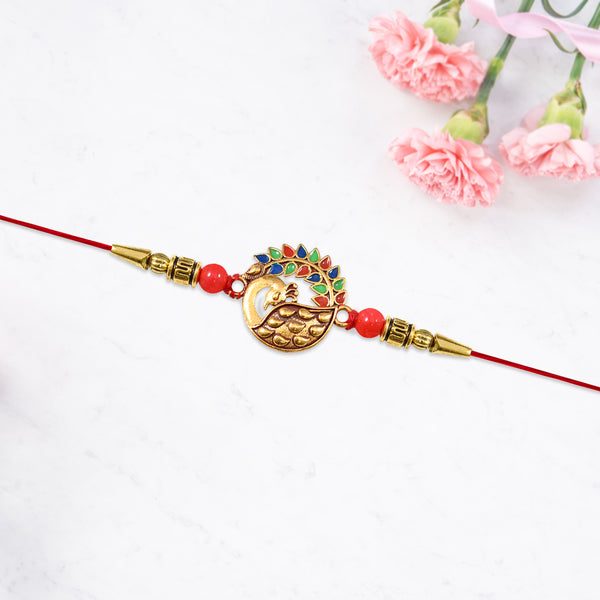 From Fights To Forever  Bhai-behen Saga